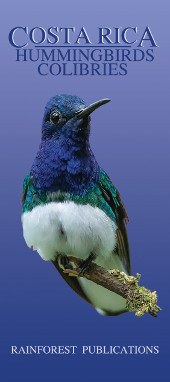 front cover of Costa Rica Cloud Forest and Highland Birds Pocket Field Guide